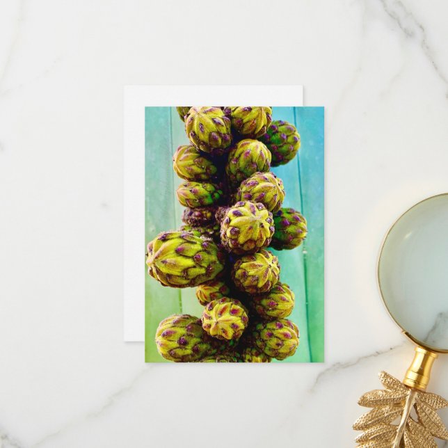 Tarjetas de felicitación Cacti Flower - En blanco  (Anverso/Reverso In Situ)