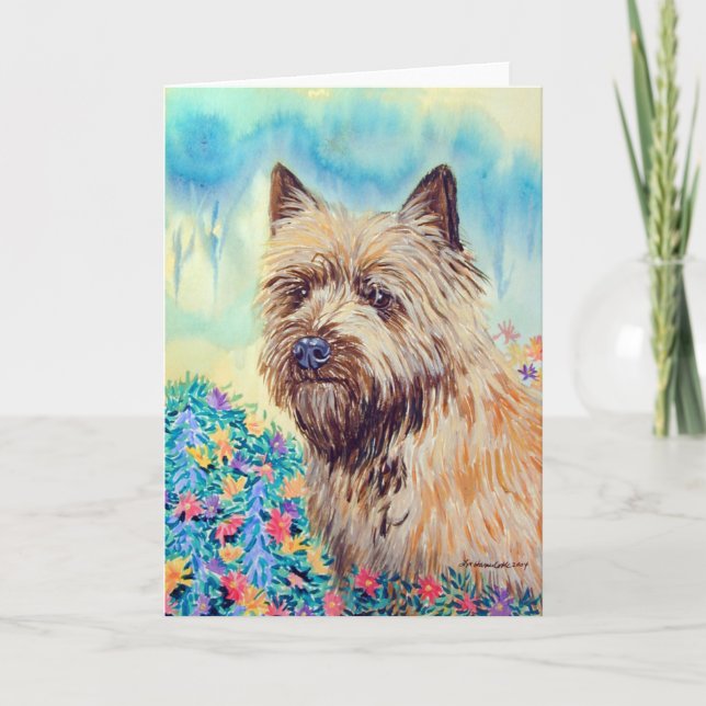 Tarjetas de felicitación Cairn Terrier (Anverso)