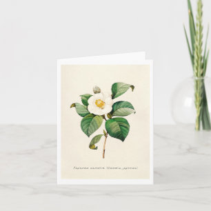 Tarjetas de felicitación - Camelia Japonesa