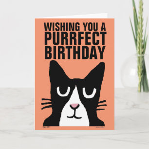 Tarjetas de felicitación CAT para el cumpleaños, P