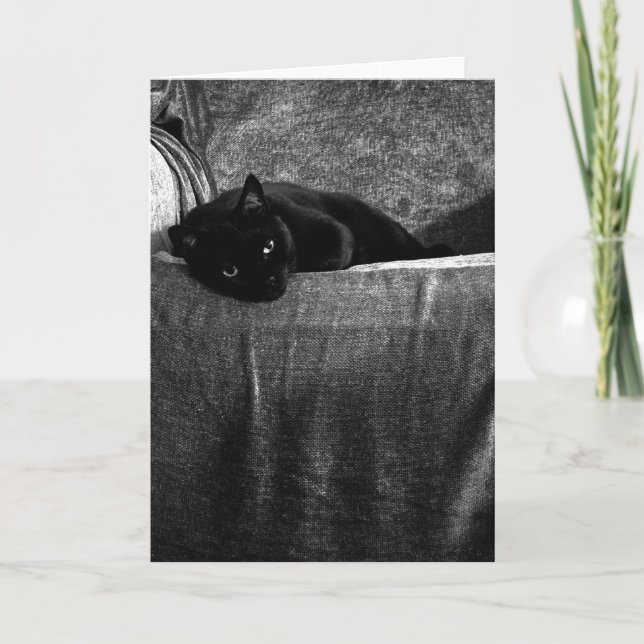 Tarjetas de felicitación cómodas del gato negro (Anverso)