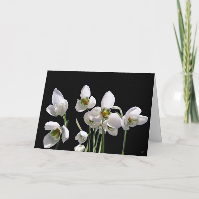 Tarjetas de felicitación con flor de nieve (Anverso)