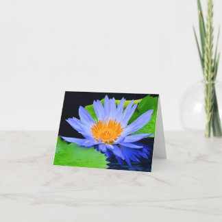 Tarjetas de felicitación con notas en blanco de Ne