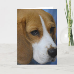 Tarjetas de felicitación Cute Beagle