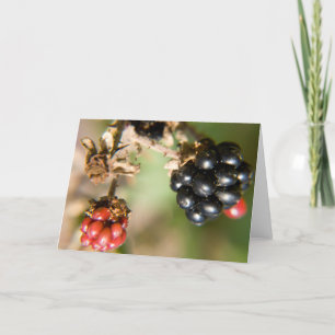 Tarjetas de Felicitación de Bayas de Otoño