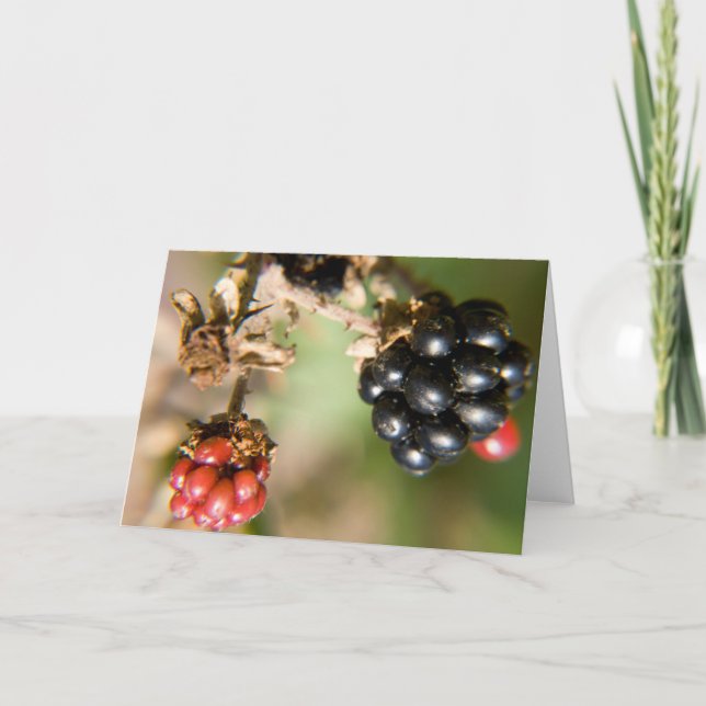 Tarjetas de Felicitación de Bayas de Otoño (Anverso)