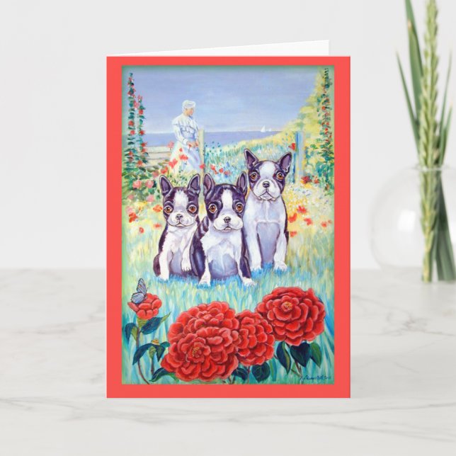 Tarjetas de felicitación de Boston Terrier (Anverso)