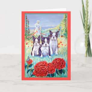 Tarjetas de felicitación de Boston Terrier