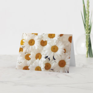 Tarjetas de felicitación de Daisies Perfectas
