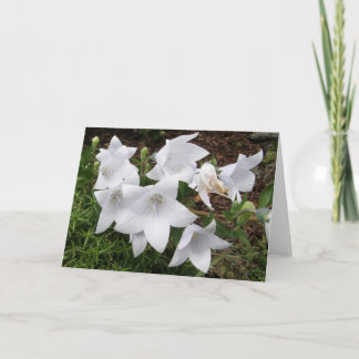 Tarjetas de felicitación de Flor de Globo (Bellflo