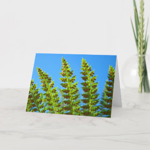 Tarjetas de felicitación de flora de helechos del 