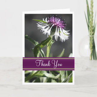 Tarjetas de felicitación de fotos en blanco