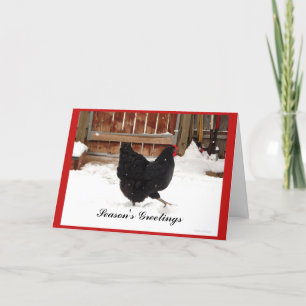 Tarjetas de felicitación de gallina negra pavoneán