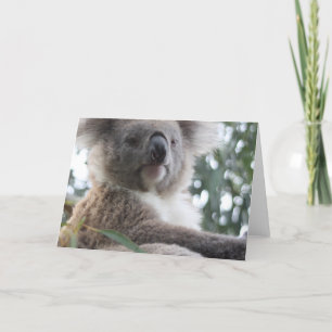 Tarjetas de felicitación de Koala Bear