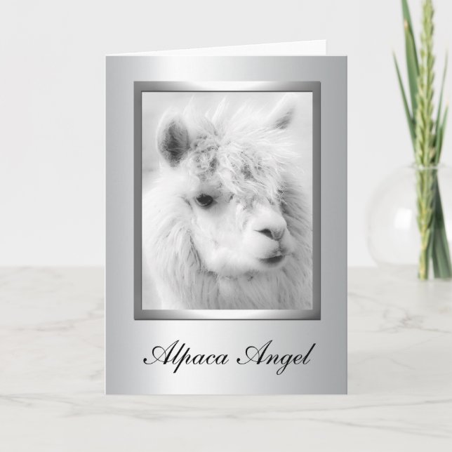 Tarjetas de felicitación de la alpaca (Anverso)
