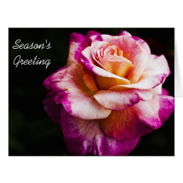 Tarjetas de felicitación de la estación del Año