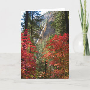 Tarjetas de felicitación de la fantasía de la