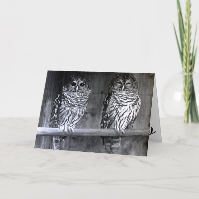 Tarjetas de felicitación de la fotografía del búho (Anverso)