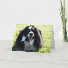 Tarjetas de felicitación de la nación de Berner