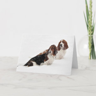 Tarjetas de felicitación de la serie "Hounds in th