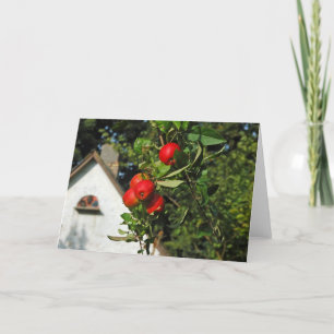 Tarjetas de felicitación de las manzanas de la