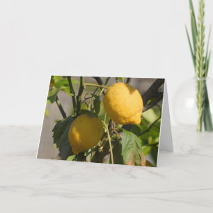 Tarjetas de felicitación de limón españolas
