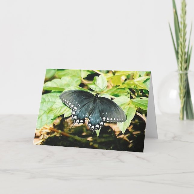 Tarjetas de felicitación de mariposa Black White S (Anverso)