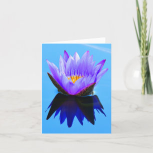 Tarjetas de felicitación de nota de lirio de agua