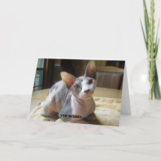 Tarjetas de felicitación de relaciones