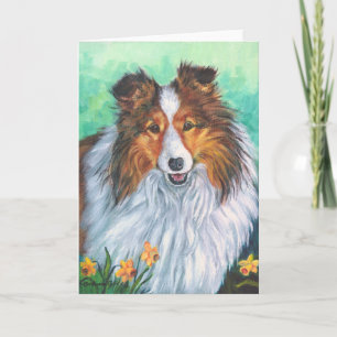 Tarjetas de felicitación de Sheepdog Shetland