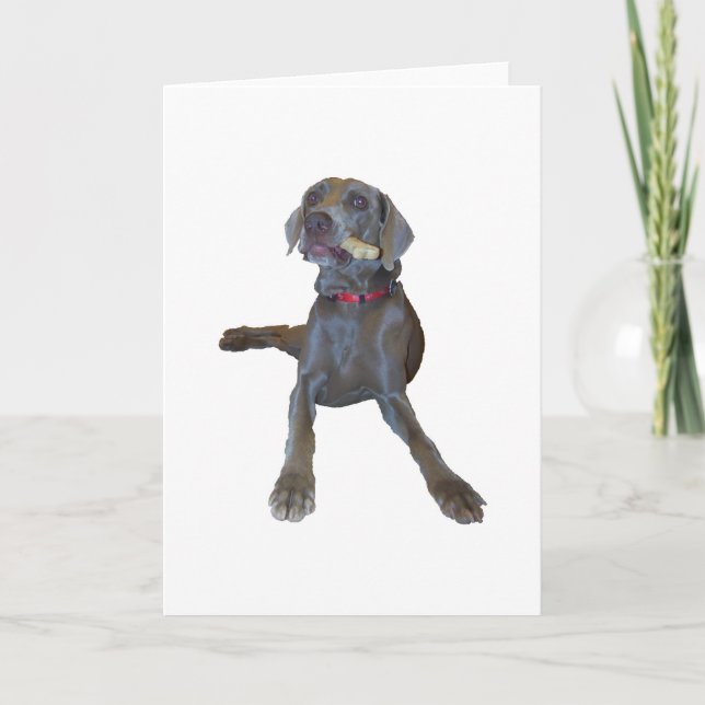 Tarjetas de felicitación de Weimaraner (Anverso)