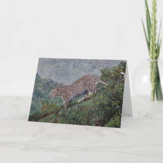 Tarjetas de felicitación del arte de la fauna de