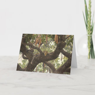 Tarjetas de felicitación del arte de la fauna de