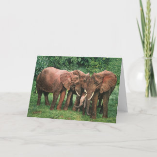 Tarjetas de felicitación del arte de la fauna de