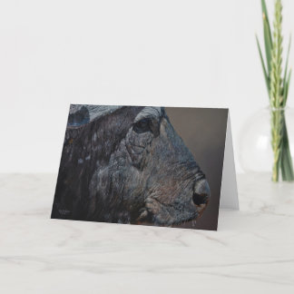 Tarjetas de felicitación del arte de la fauna de