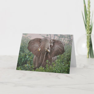 Tarjetas de felicitación del arte de la fauna de