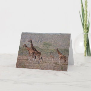 Tarjetas de felicitación del arte de la fauna de