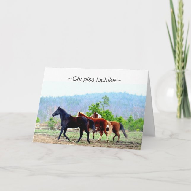 Tarjetas de felicitación del Choctaw (lachike de (Anverso)