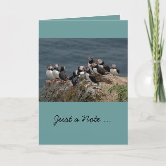 Tarjetas de felicitación del frailecillo
