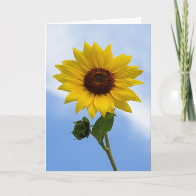 Tarjetas de felicitación del girasol (Anverso)