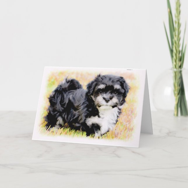 Tarjetas de felicitación del perrito de Havanese (Anverso)