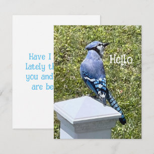 Tarjetas de felicitación del Personalizado de pája