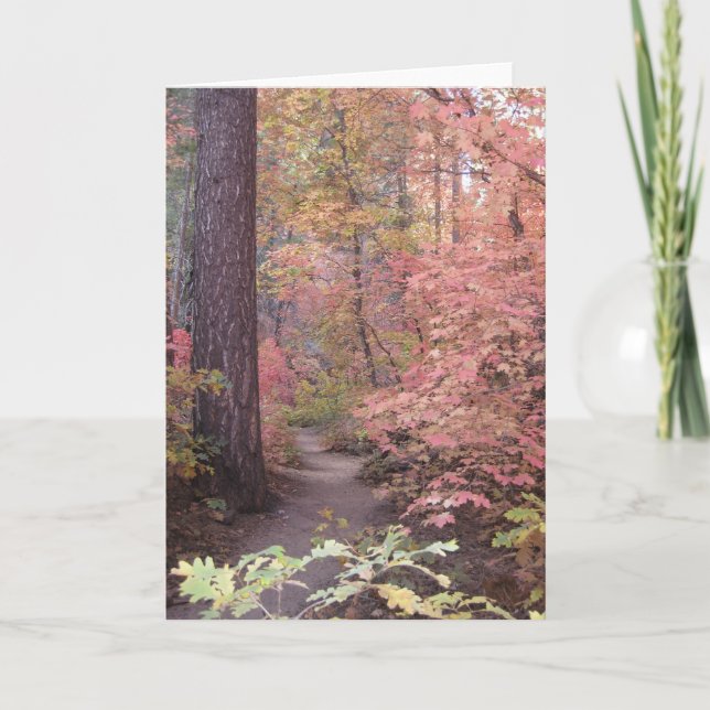 Tarjetas de felicitación del silencio y del dulzor (Anverso)