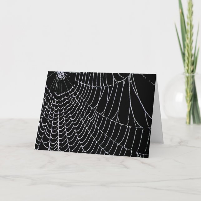 Tarjetas de felicitación del Web de araña el | (Anverso)