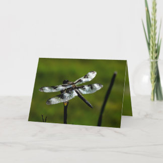 Tarjetas de felicitación Dragon Fly