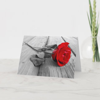 Tarjetas de felicitación en blanco
