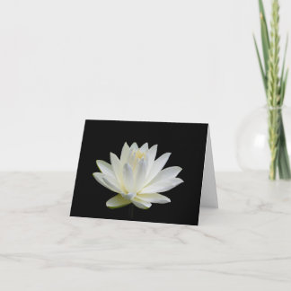 Tarjetas de felicitación en blanco de nenúfar de a