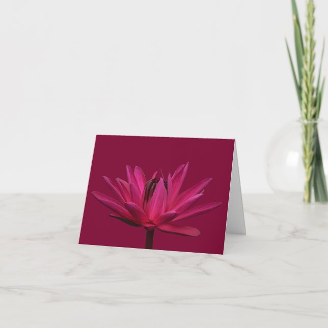 Tarjetas de felicitación en blanco de Nenúfar rosa (Anverso)