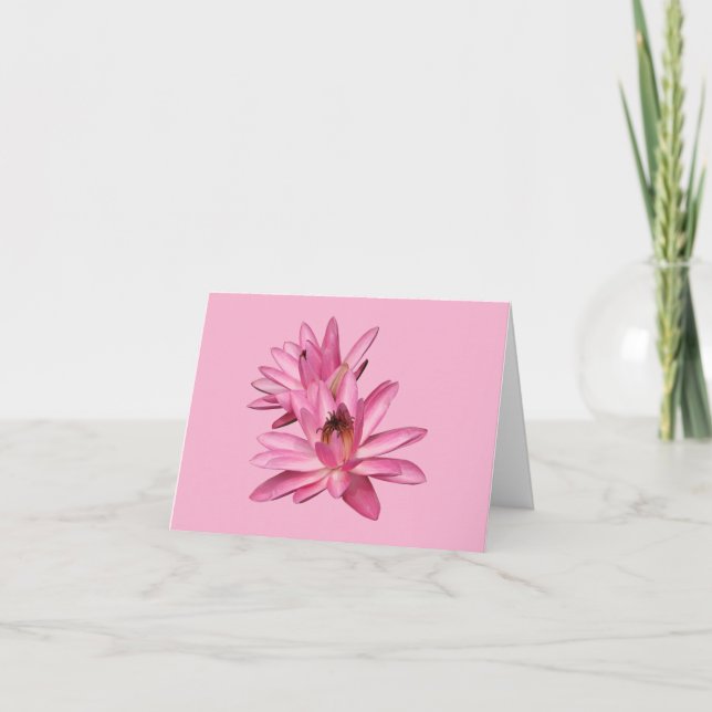Tarjetas de felicitación en blanco de Nenúfares ro (Anverso)
