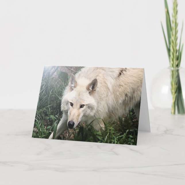Tarjetas de felicitación en blanco de White Wolf (Anverso)